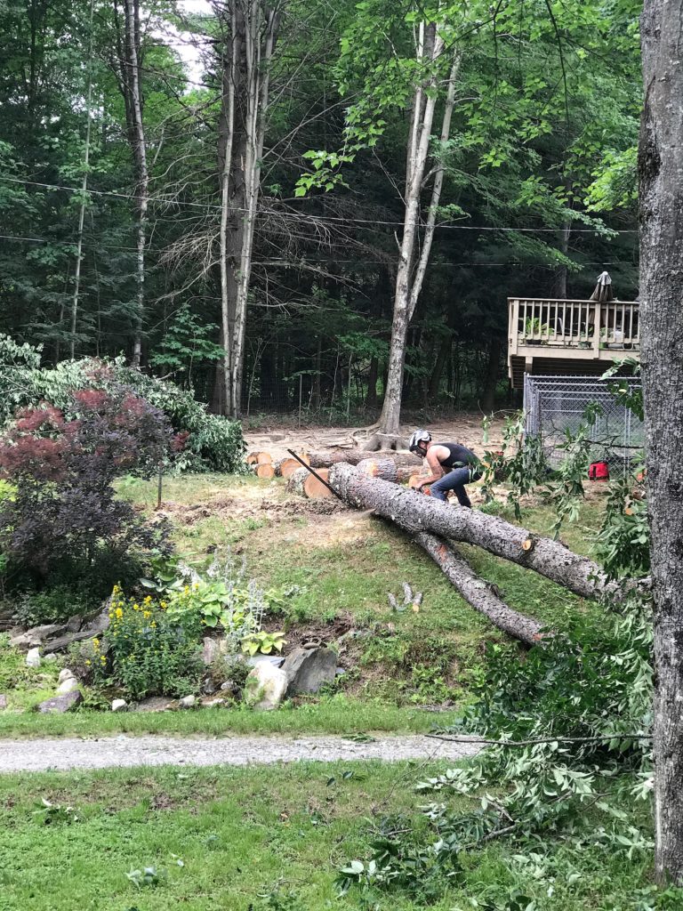 A man cutting a tree laying on the ground with a chainsaw.