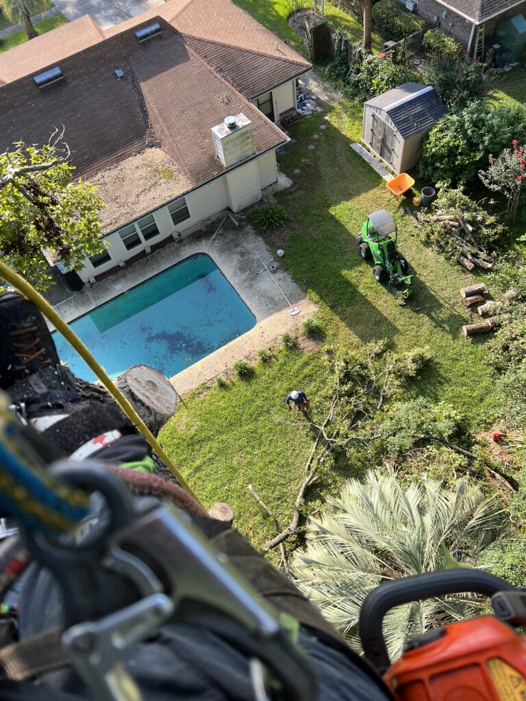 Aerial view of a poolside backyard with a rectangular pool beside a beige house with a brown roof, a small shed, and a green lawn tractor near chopped logs.