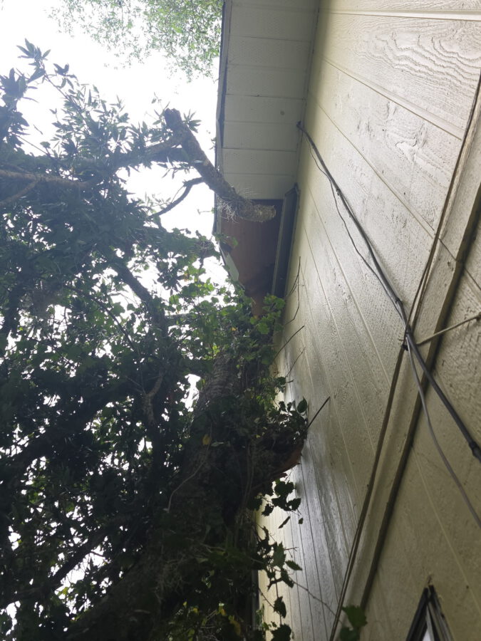 Looking up at a tree fallen against the side of a tan house after a storm