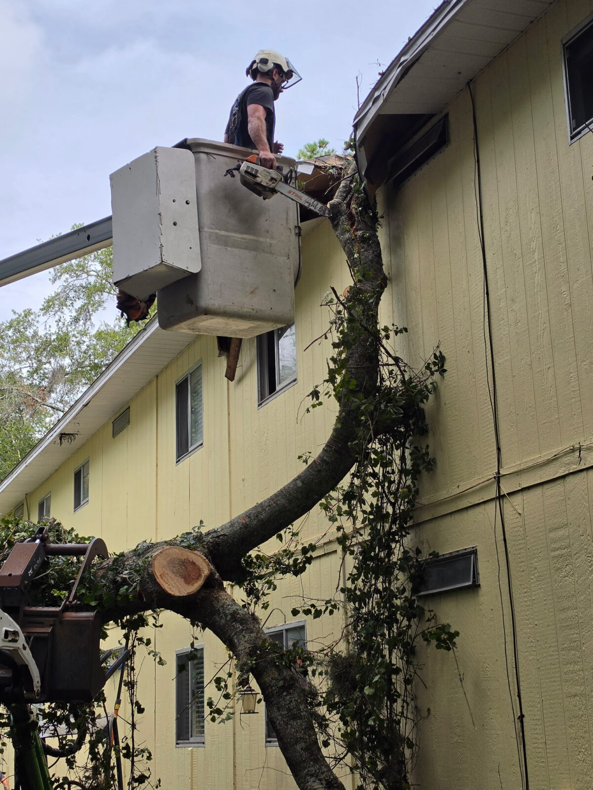 Arborist in a bucket lift cutting the fallen tree away from the damaged soffit and roof